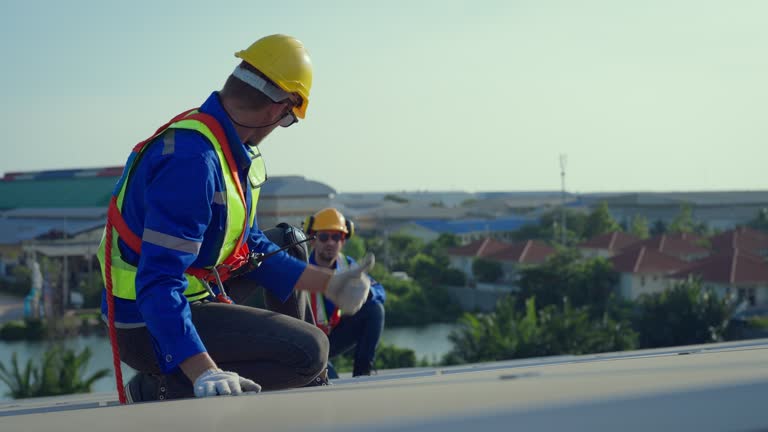 Best Roof Moss and Algae Removal  in Jackson, SC