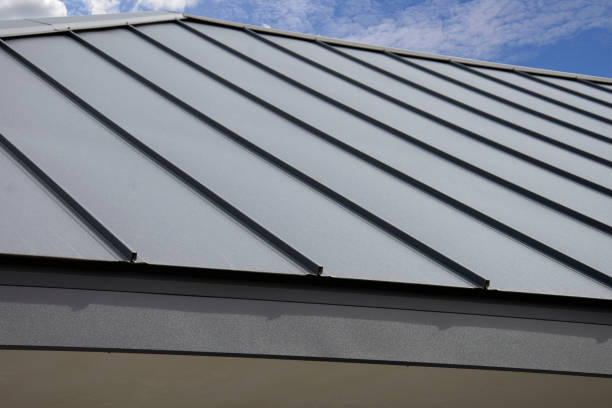 Best Solar Panel Roofing Installation  in Jackson, SC